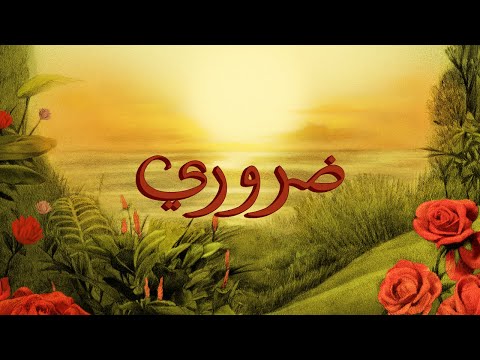 8   تووليت ضروري