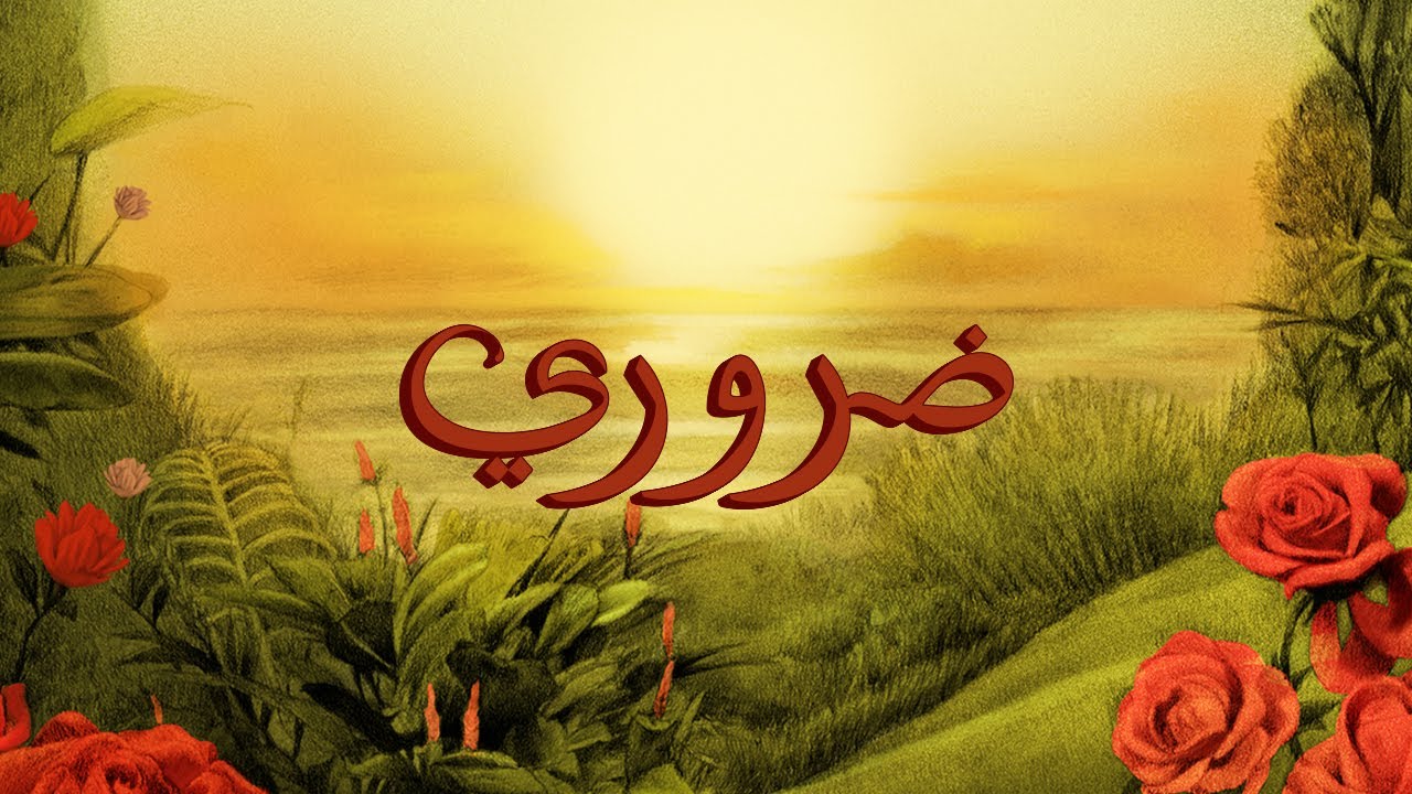 TUL8TE - Daroory I تووليت - ضروري TUL8TE - Daroory I تووليت - ضروري