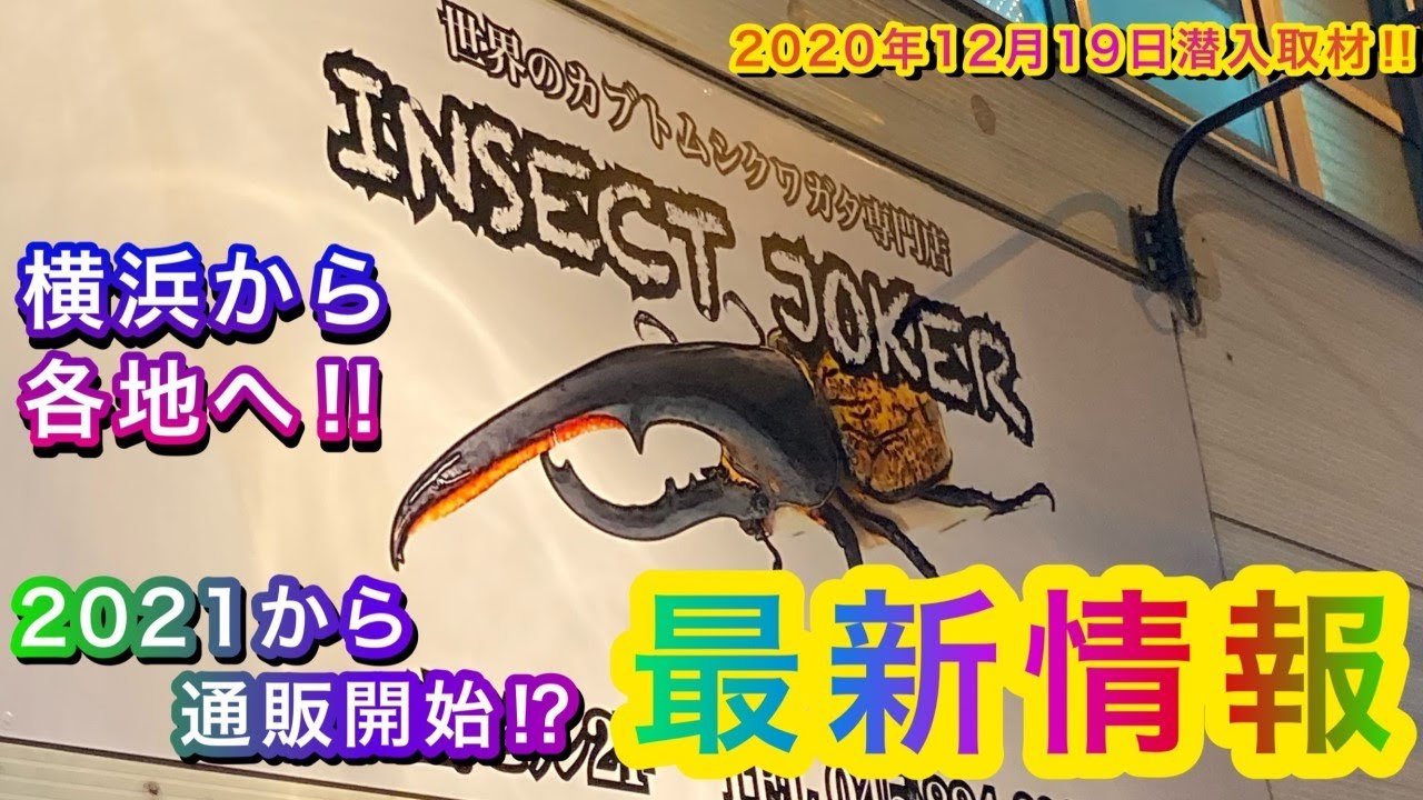 最新情報！！2021年に通販開始のインセクトジョーカーに潜入取材！！12月19日取材→翌日投稿 Ryu's Tree#113【カブトムシ・クワガタムシのお店】【クワガタ通販】【インセクトジョーカー】