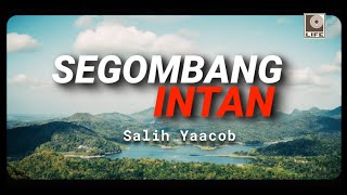 Salih Yaacob - Segombang Intan (Official Lyric Video)
