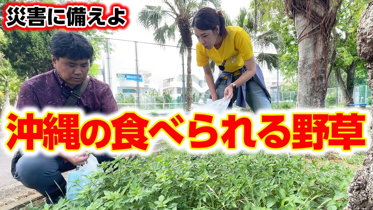 迫る2025年7月5日】沖縄から伝えたい備えるべきもの！ - YouTube