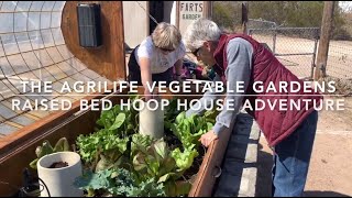 The Agrilife Vegetable Gardens Raised Bed Hoop House Adventure