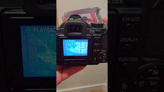 Took a photo walk with a Lumix FZ-50.  gorgeous Leica lens with 35-420 equivalent lens and 10 mp CCD