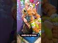 Miracle Cat Eats Prasad at Ganpati Idol #shortsvideo