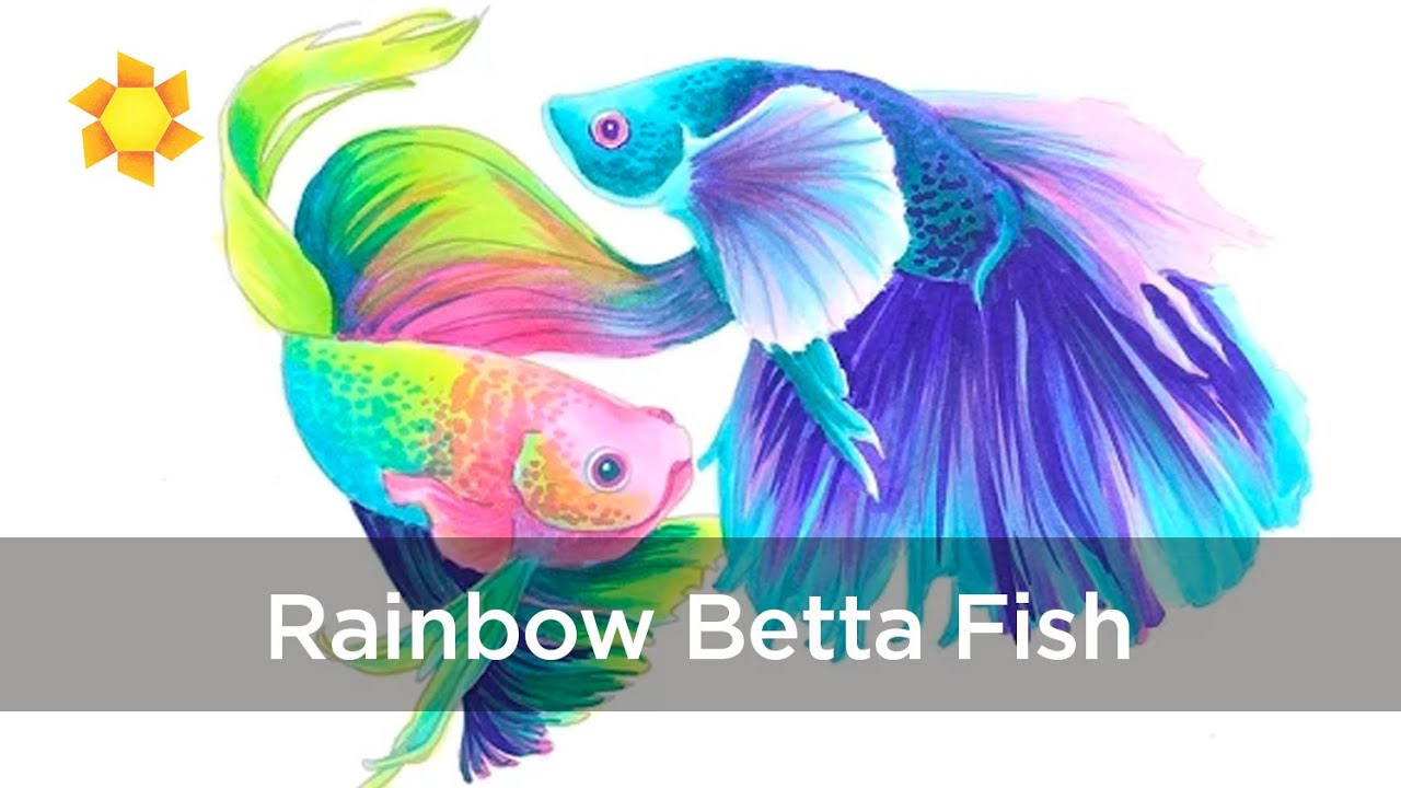 Rainbow Betta fish Copic Marker Drawing 