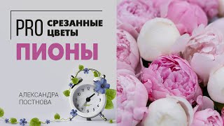 Пионы и Букет из пионов | Секреты свежести цветка в вазе