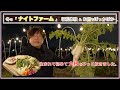 冬のナイトファームで野菜収穫&野菜たっぷりお鍋体験【とっておきの京都】