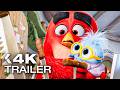 THE ANGRY BIRDS MOVIE 3 Official Trailer (2026)