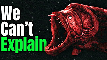 Dinosaurs That Were Straight-Up Psychopathic Killers