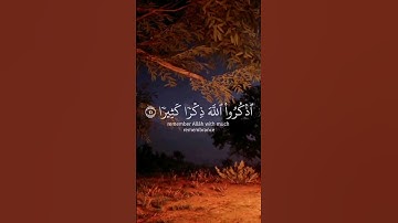 يا أيها الذين آمنوا اذكروا الله ذكرا كثيرا 💚 #القرآن_الكريم #تلاوات_خاشعة #قرآن