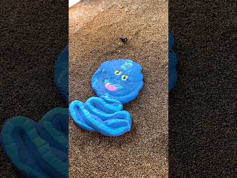 Construction vehicles and plasticine zootopia 🚜🐰🦊