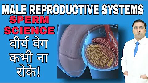 MALE REPRODUCTIVE SYSTEM SPERM SCIENCE | वीर्य वेग कभी ना रोके!