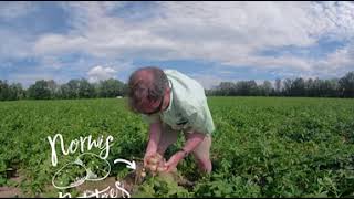 Green Thumb Farms Introduction (360 video)