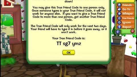 Toontown true friend codes
