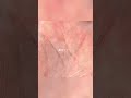 湯木慧 1st Full Album『 W 』Teaser「二酸化炭素」 #Shorts