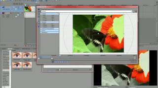 Sin City Effect | Sony Vegas Pro 9 | Tutorial | HD
