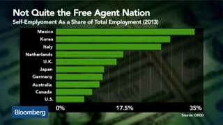 Why the U.S. Is a Self-Employment Laggard Why the U.S. Is a Self-Employment Laggard