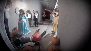 Real Robots Go Trick-Or-Treating Psyonic Halloween 2025