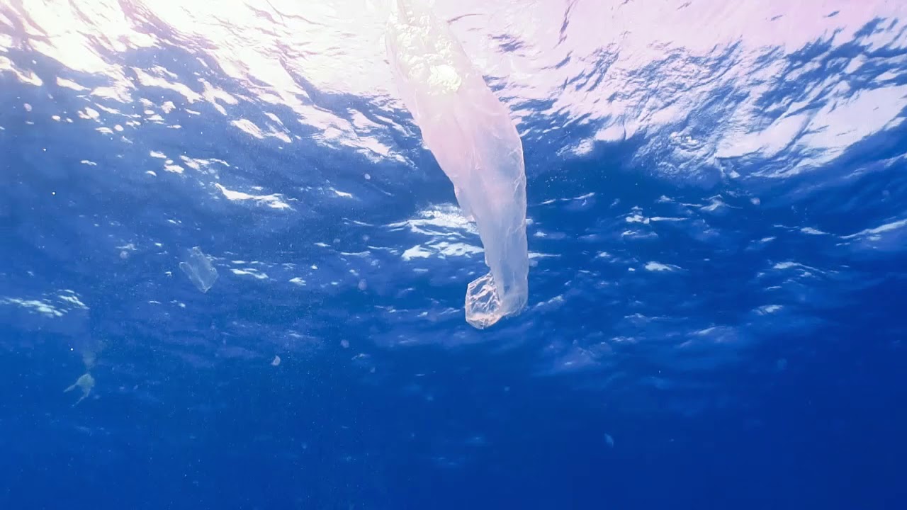 Plastic bag floating YouTube