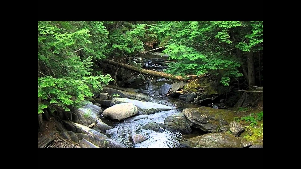 tokin dave scenic spot contest entry