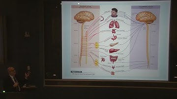 Matthew Siegel   Arousal, emotion reg & challenging behaviors  Insights from the AIC Jan 25, 2018