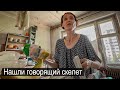 Вот что будет если сойти с ума и остаться одному.