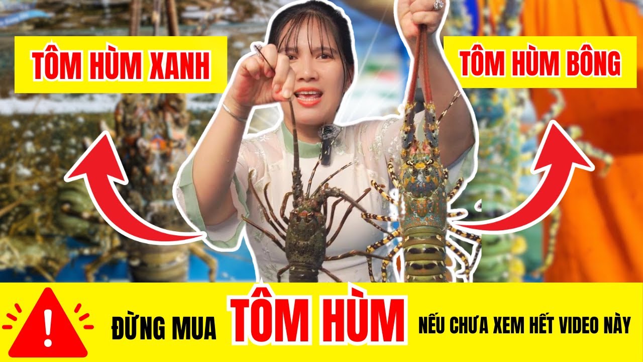 ĐỪNG NÊN MUA TÔM HÙM NẾU CHƯA XEM QUA VIDEO SO SÁNH NÀY