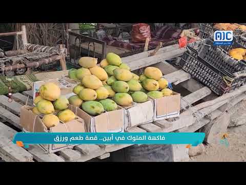 صباحك ياعدن | تقرير | فاكهة الملوك في أبين... قصة طعم ورزق