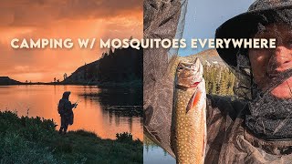 Catching Fish, Cooking, & Camping with Mosquitoes Everywhere In The Rain