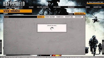 Battlefield bad company 2 PC WTF Leaderboard Problem ! All Servers down ? Or What up ?