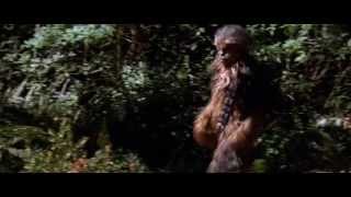 Star Wars: Bigfoot and Wildboy