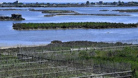 Local farmers in Tunisia