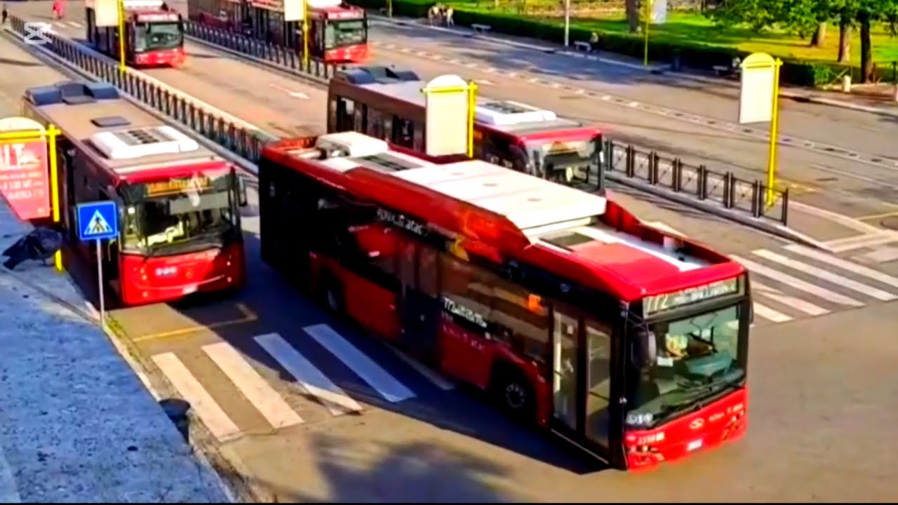 Rome on the Move: Bus and Metro