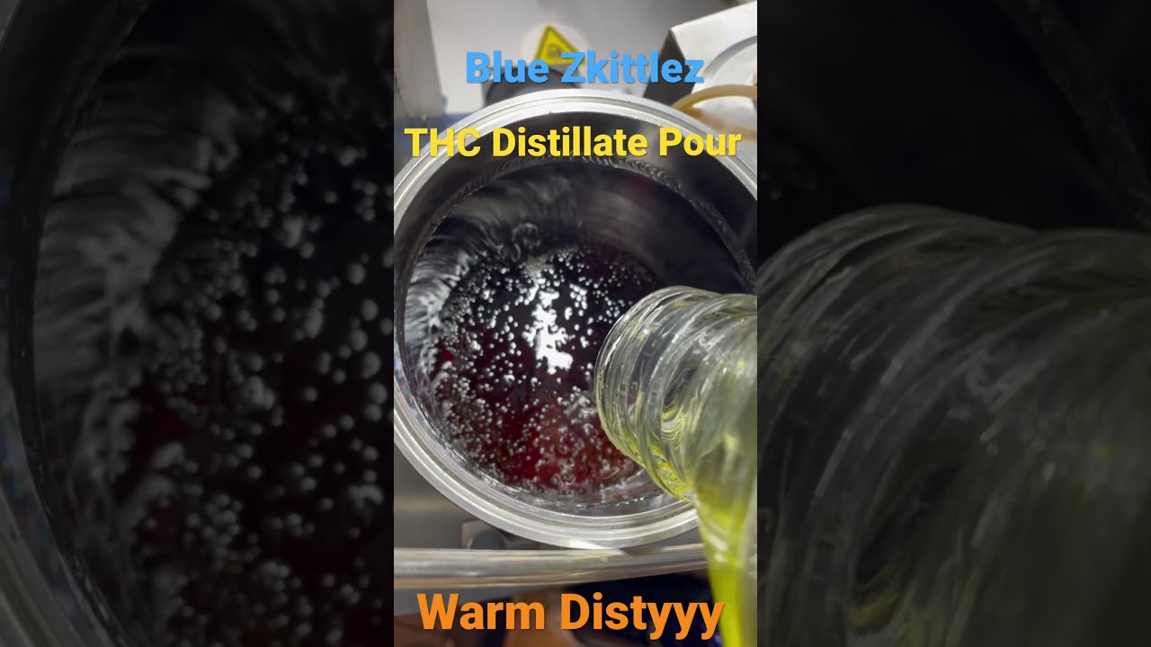 Over 1,000 Gram (1 Liter) Pour Of Golden Oil 