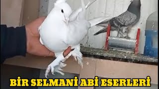 Meşhur SELMANİ ABİ ESERLERİNİ MUSTAFA abiden sizin için aldın CUMARTESİ 21.30 ORJİNAL MATBAALAR