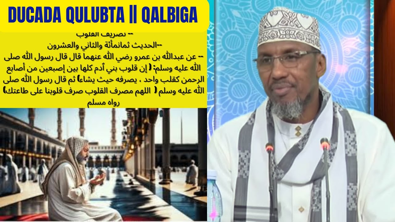 DUCADA QULUBTA || QALBIGA