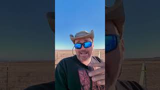 the #horse stable build is almost done, long form content coming soon #offgrid #homestead