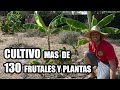 COMIDA GRATIS para toda la VIDA || Crea tu Propio BOSQUE DE ALIMENTOS 🌳