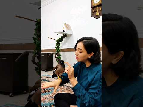 آواز خوانی من و مینا به درخواست شما آواز خواندن مینا خوانندگی   