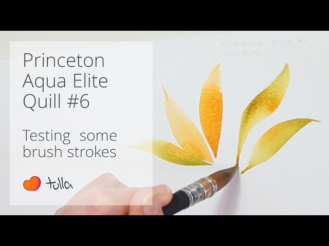 Princeton Aqua Elite Quill 6 - MICA Store