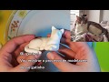 GATINHO | Miniatura de biscuit