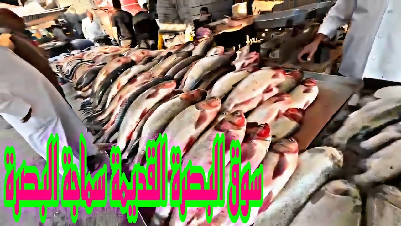 سوق البصرة القديمة سماجة البصرة أسعار التمر والسمك مع تحياتي للجميع#أحمد_مهدي 