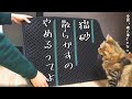 猫砂マット買ってみた
