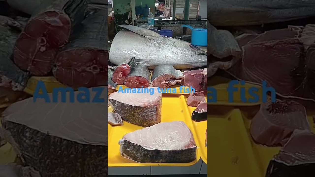 Amazing Tuna fish in the Philippines 