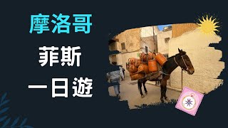 【非洲 摩洛哥】ep05~Day6~FEZ菲斯ㄧ日遊～菲斯皇宮/鹽路/馬賽克工廠/菲斯老城區/波伊納尼亞神學院/Royal Medina Spa澡堂/卡魯因大學大學/皮革工廠