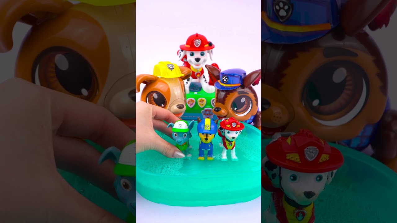 Satisfying Ultimate Experience with Cool Paw Patrol Toys ASMR Collection 