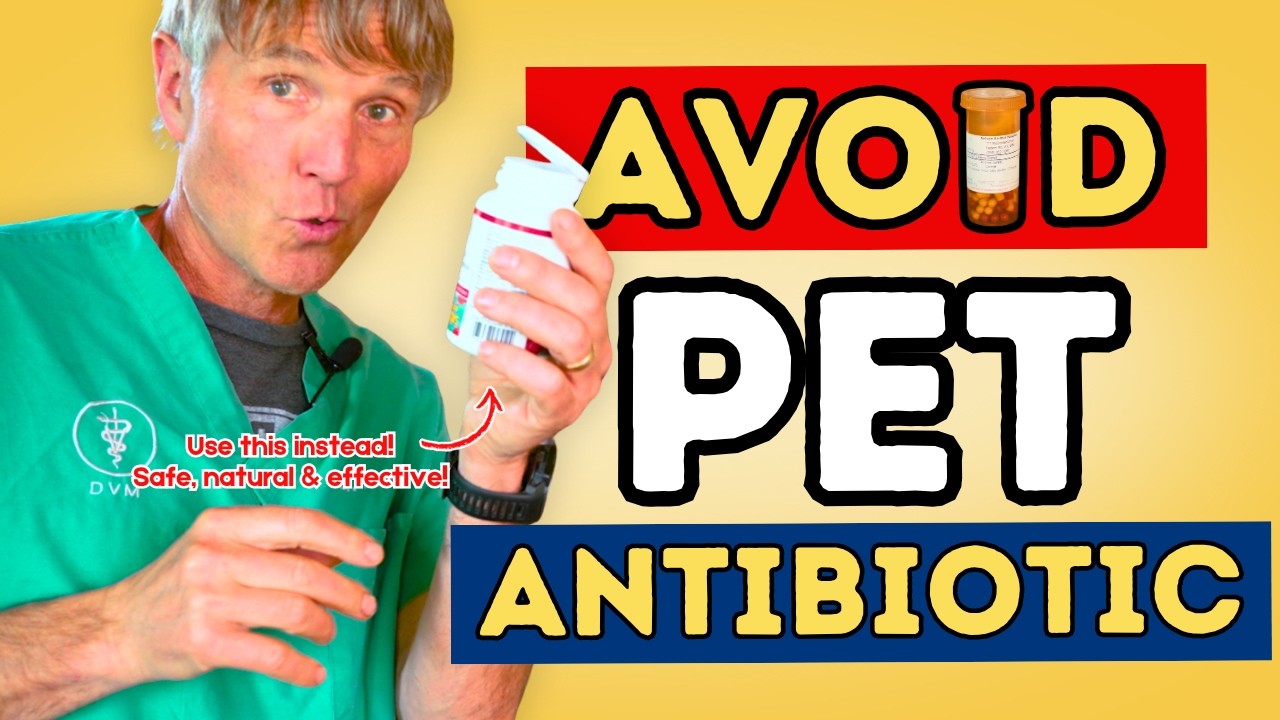 Pet Viral Infections? What I Use Instead of Antibiotics for My Pets (Top 8 Natural Alternatives)
