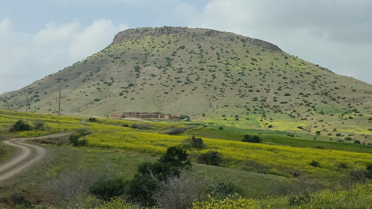 مباشرة من المملكة المغربية 🇲🇦وبالضبط جماعة عكرمة الرحامنة طالقة علينا زينها 😍😍 بعد سنوات من الجفاف🤲