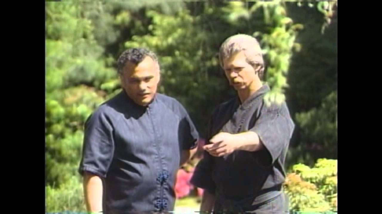 Advanced Aikijujutsu Bruce Lee 1  Punch