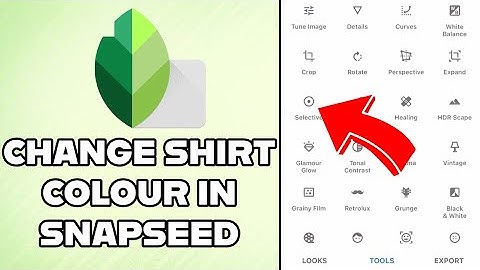 How to Change Shirt Color in SnapSeed 2024?